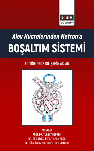 Alev Hücrelerinden Nefron'a Boşaltım Sistemi